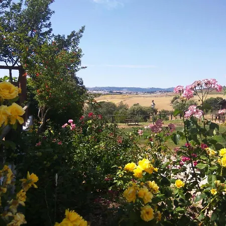 Bellavista Holiday home Ronda